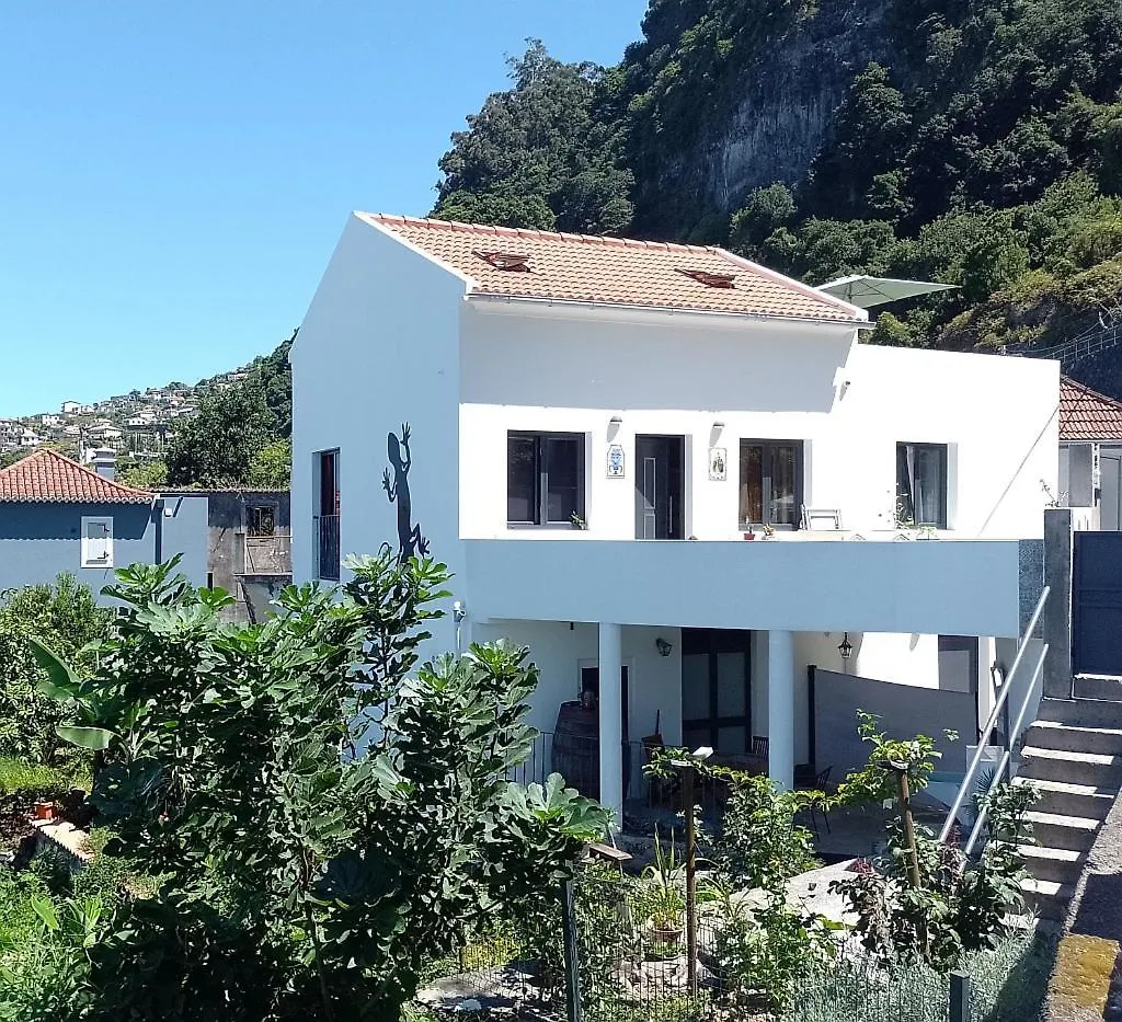 Appartement Lazy Lizard By The Ocean à Seixal  Portugal